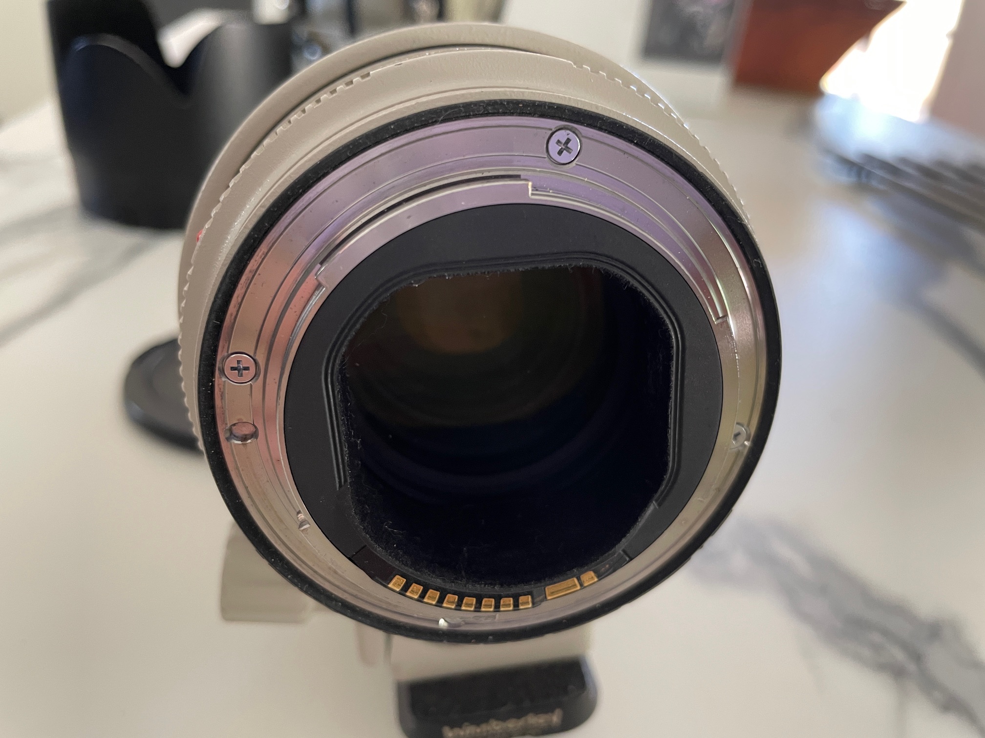 https://www.photopatrick.fr/Telechargement/IMG_3718.JPG